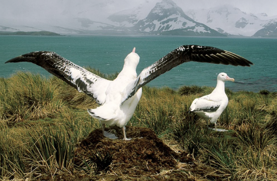 Falkland Islands and Antarctic Peninsula