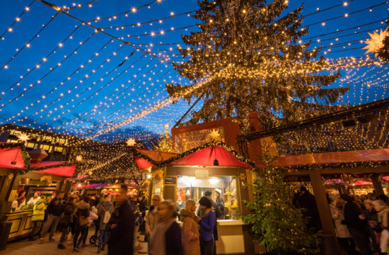 Christmas Markets on the Rhine 2026