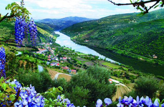 Enticing Douro