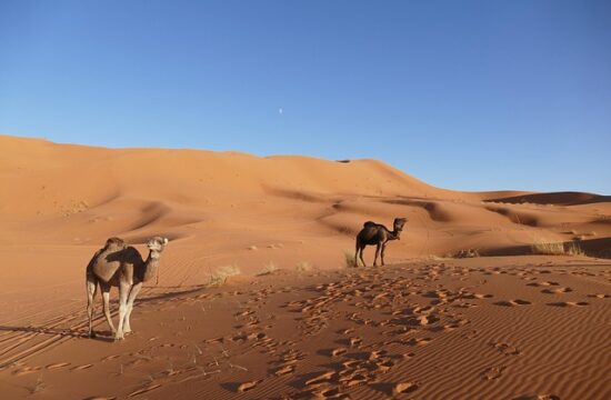 Highlights of Morocco